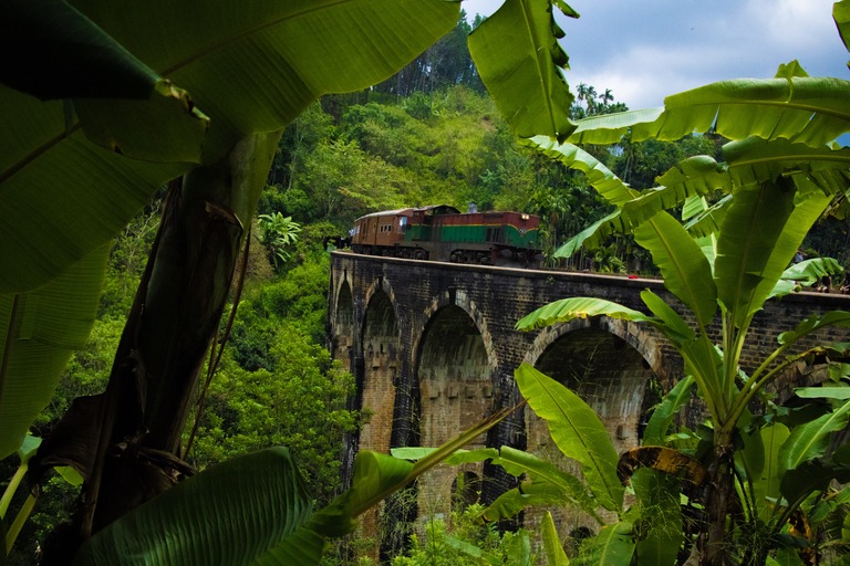 Zugstrecke nach Ella Zug, Brücke, Sri Lanka, Ella, familienurlaub sri lanka