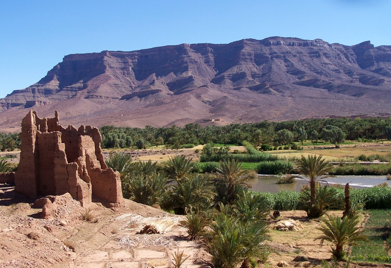 Oase, Landschaft, Zagora, Marokko, Marokko Rundreise 21 Tage