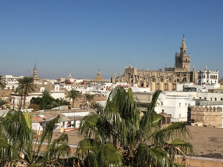 Das malerische Stadtviertel Santa Cruz lädt zum Schlendern und entdecken ein. Spanien Andalusien Sevilla Viertel Santa Cruz