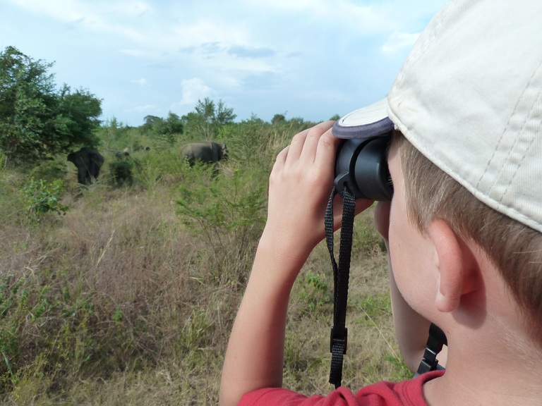 Im Udawalawe Nationalpark begeben wir uns auf Pirschfahrt. Udawalawe Nationalpark