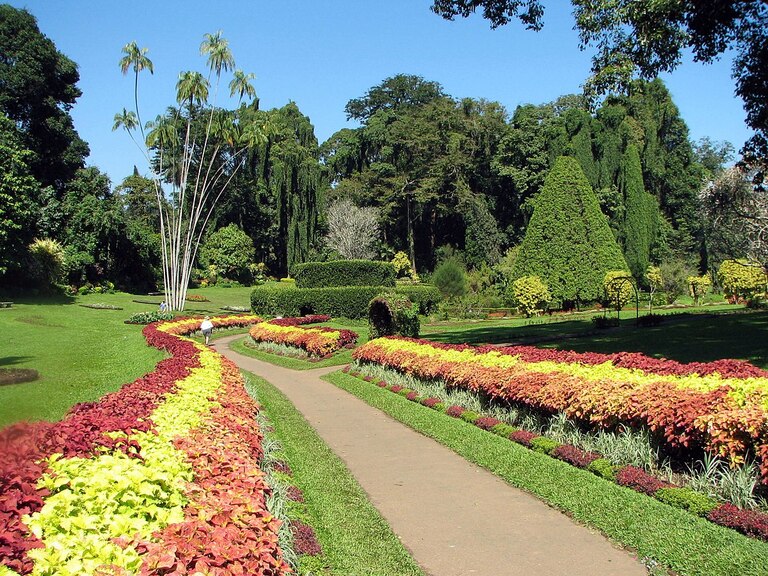 Der Peradeniya Royal Botanical Garden Peradeniya Royal Botanical Garden, Sri Lanka, Natur, Kandy, Blumen, familienurlaub sri lanka