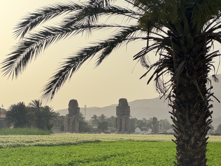 Memnonkolosse in Luxor Luxor, Landschaft, Memnonkolosse, Rundreise Ägypten