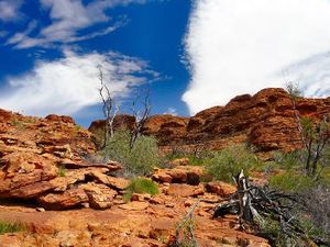 Kings Canyon