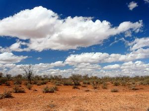 Outback