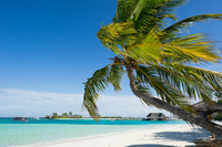 Strand, Malediven