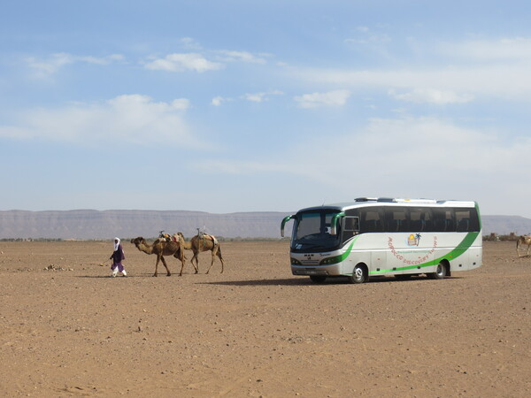 Transport