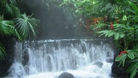 Bei einer Wanderung in der Gegend um den Vulkan Arenal lassen sich auch einige Wasserfälle und heiße Quellen finden. 