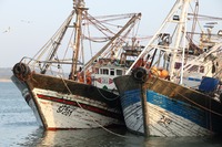 Fischersdorf, Essaouira, Marokko