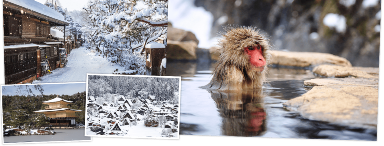 Schauen Sie sich Djosers Winterreise Japan, 16 Tage an