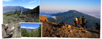 La Palma