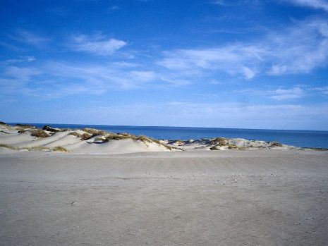 Coorong NP