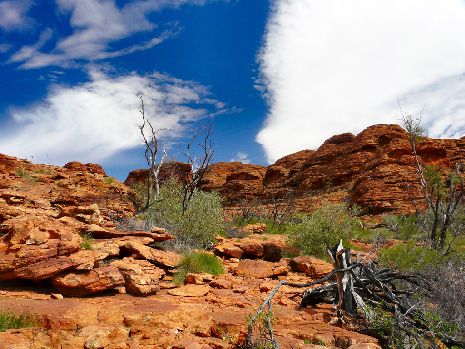 Kings Canyon