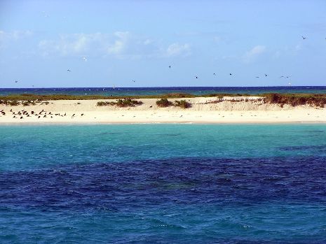 Cairns