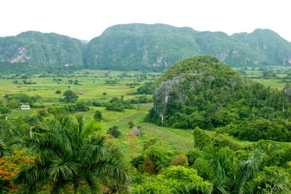 Viñales-Tal