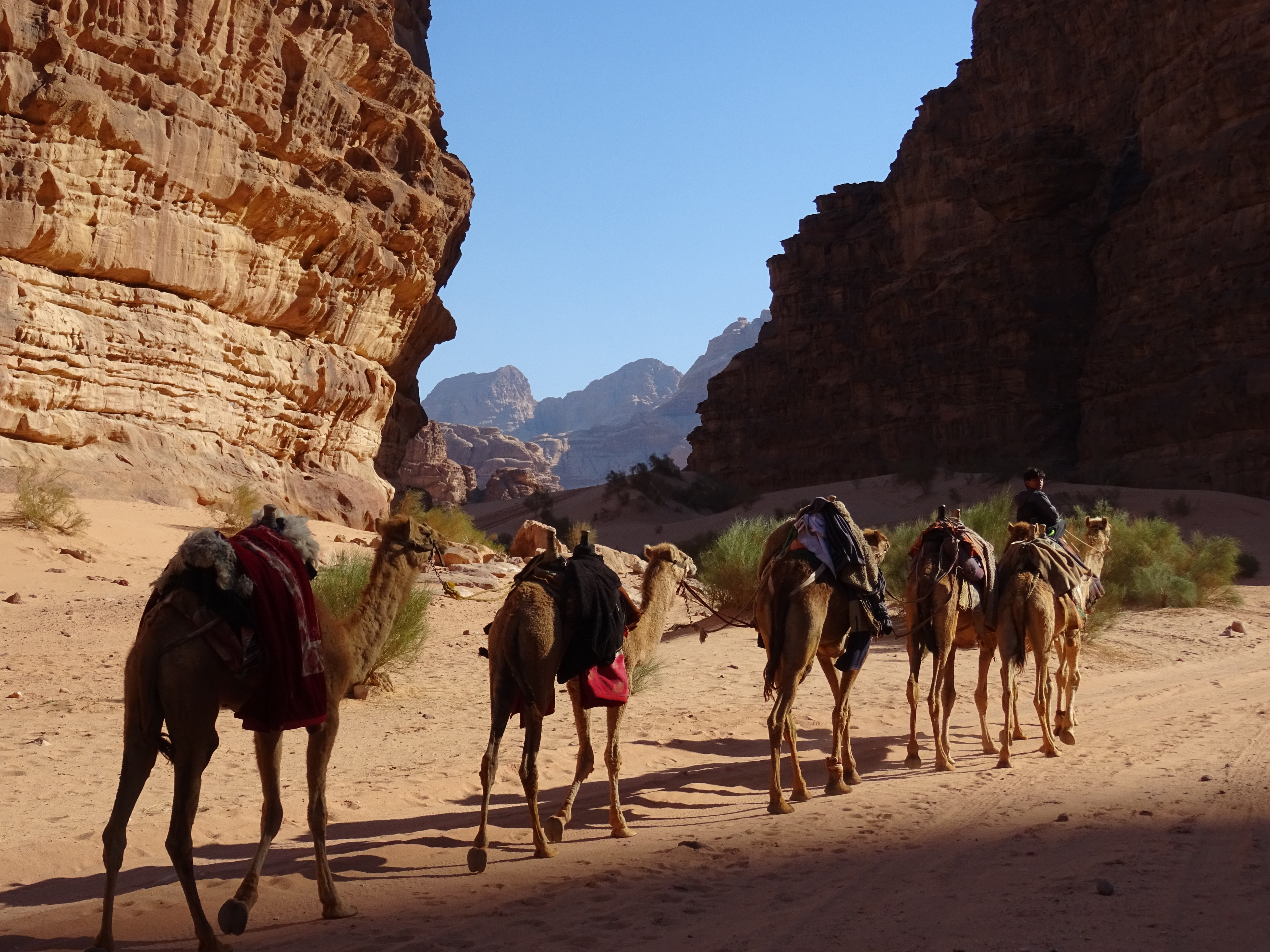 Wadi Rum