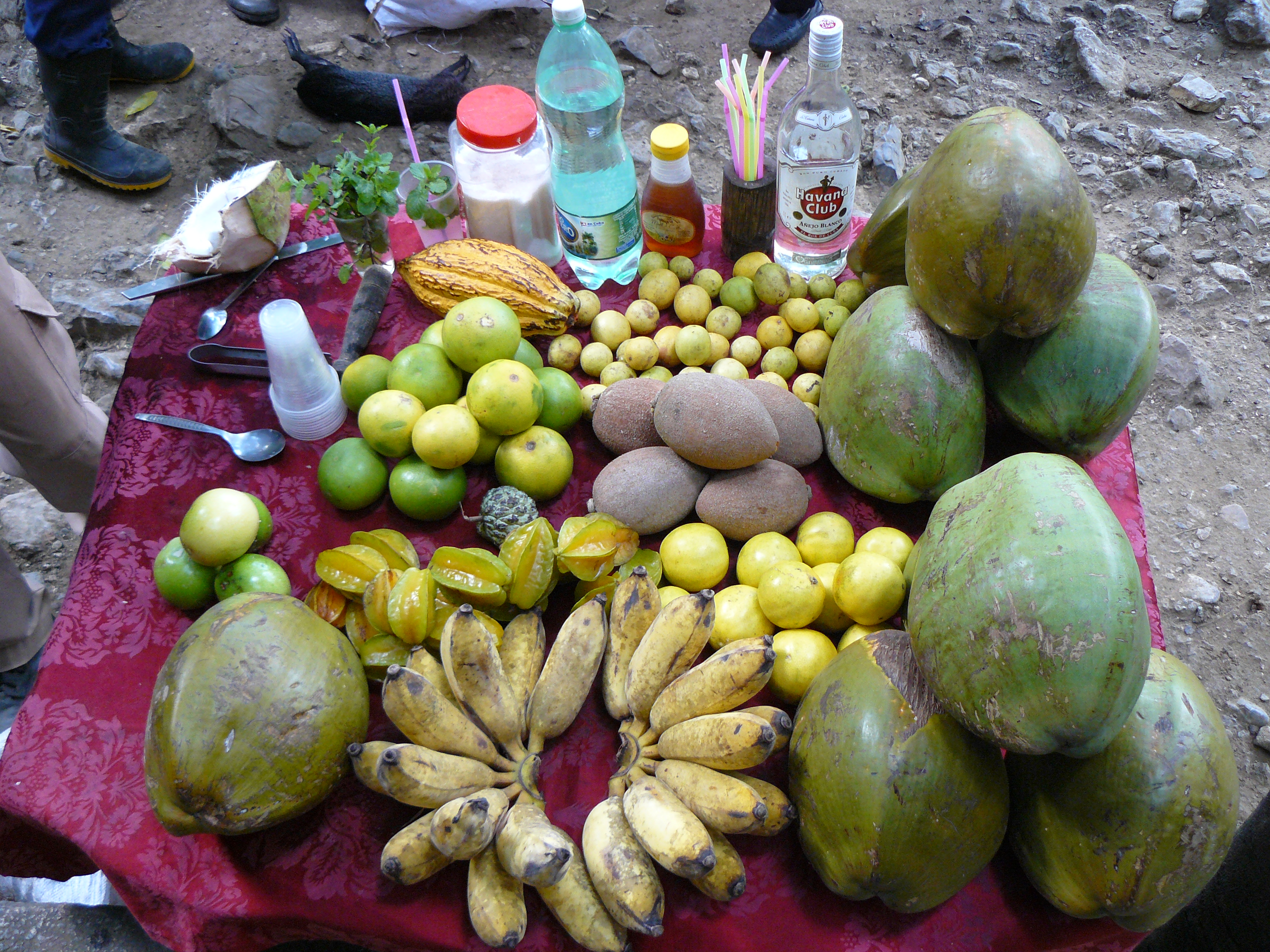 Exotisches Obst in Kuba