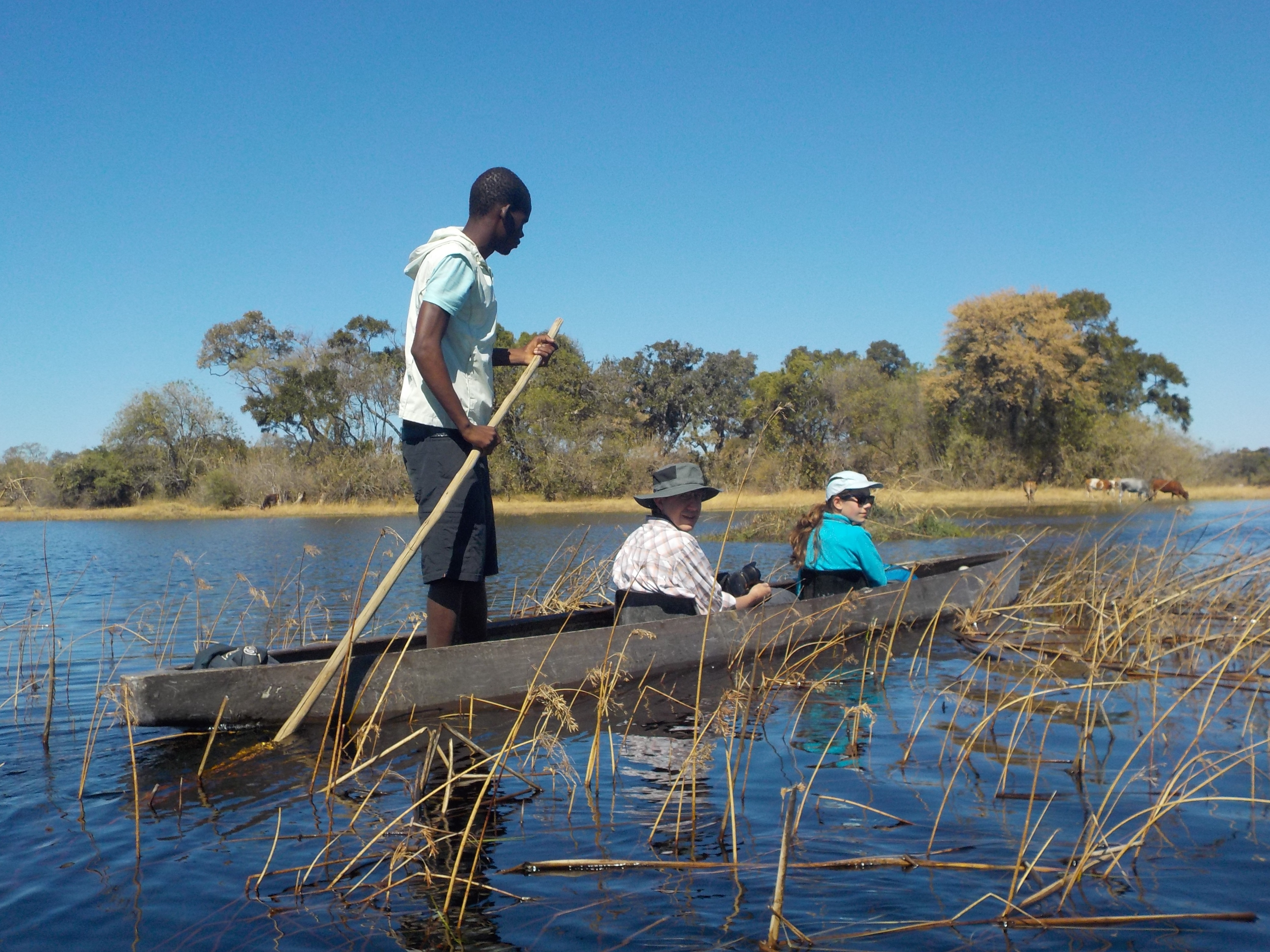 Djoser Familienreise Botswana Okavangodelta Mokorofahrt