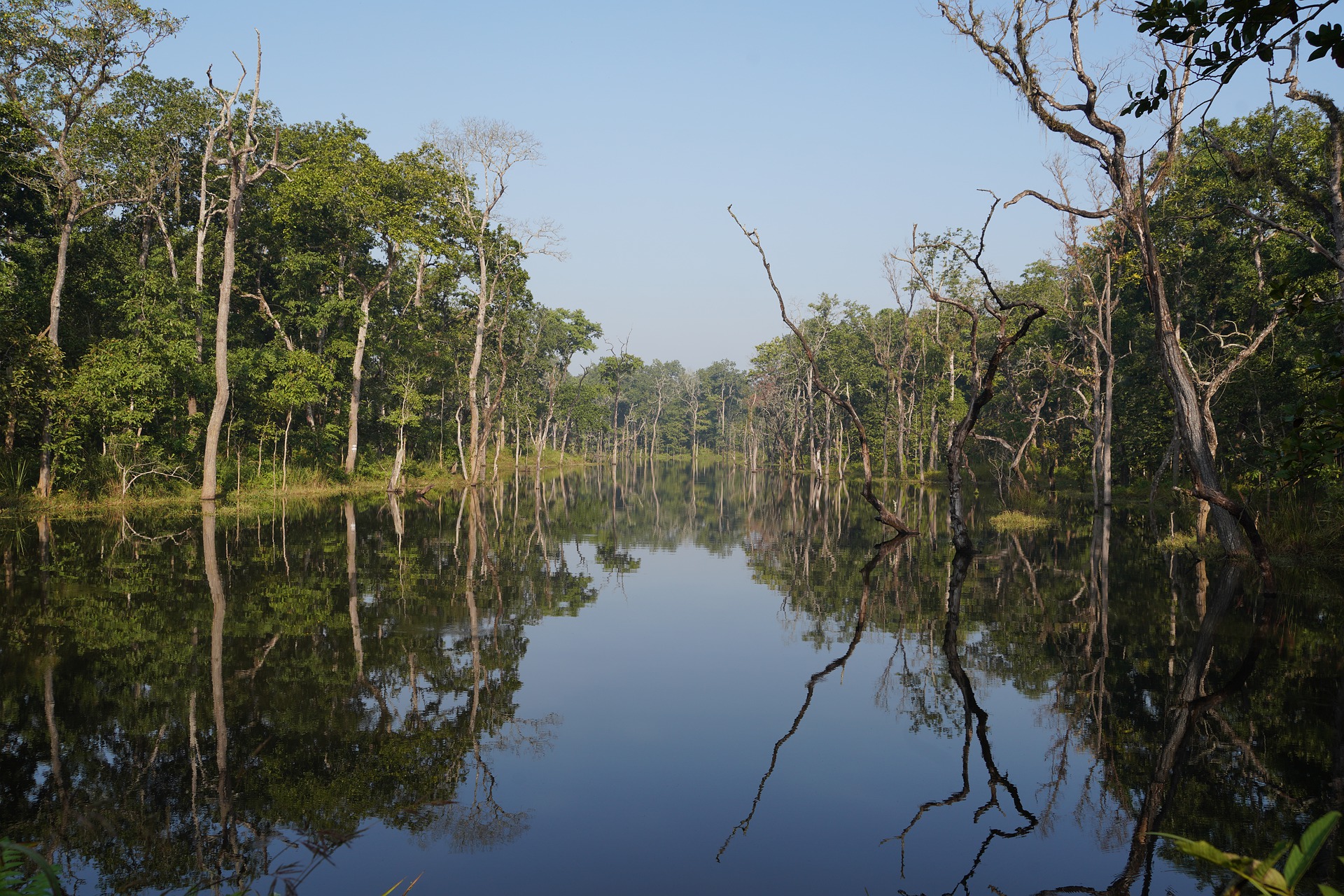 Djoser_Nepal_Chitwan Nationalpark_pixabay_foc