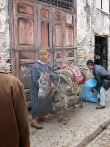 078 Marokko, Fès, Medina, ibb 2009