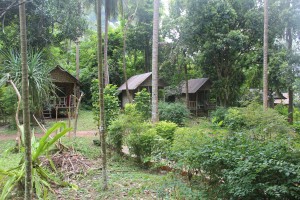 djoser_Doser_Thailand_Krabi_IMG_7723