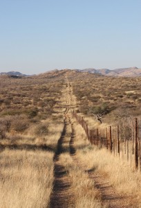 Djoser_Namibia_Botswana_Simbabwe_Zaeune2