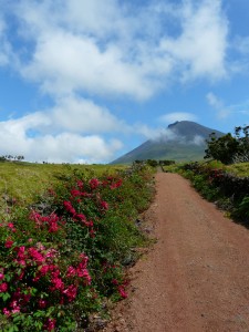 Portugal Azoren Faial